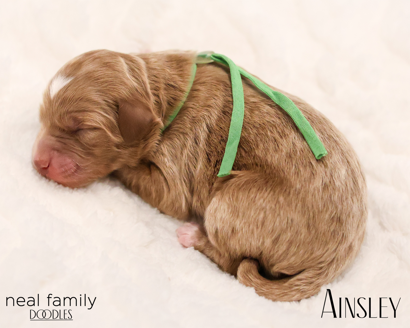 Ainsley 20260129-IMG_9212