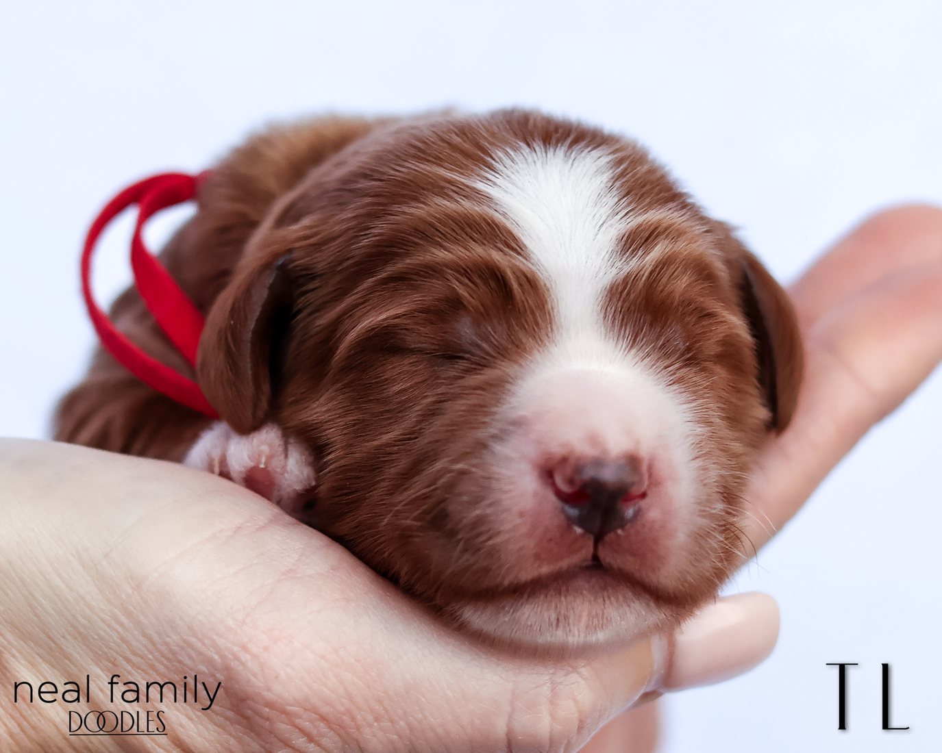 TL 20260202-IMG_9479