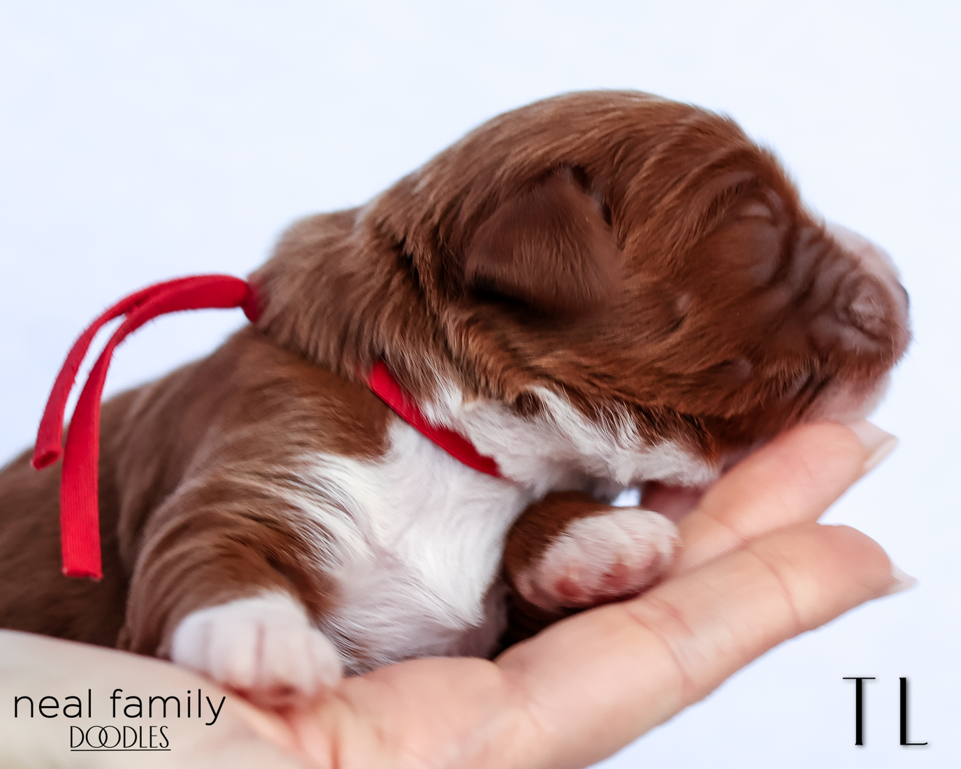 TL 20260202-IMG_9474