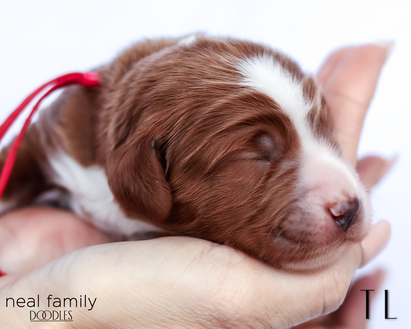 TL 20260202-IMG_9472