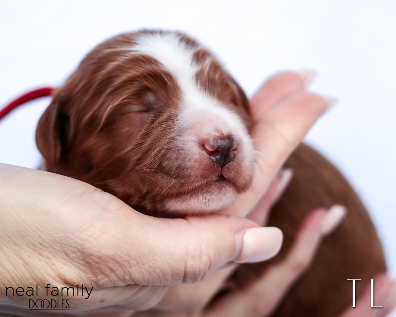 TL 20260202-IMG_9466