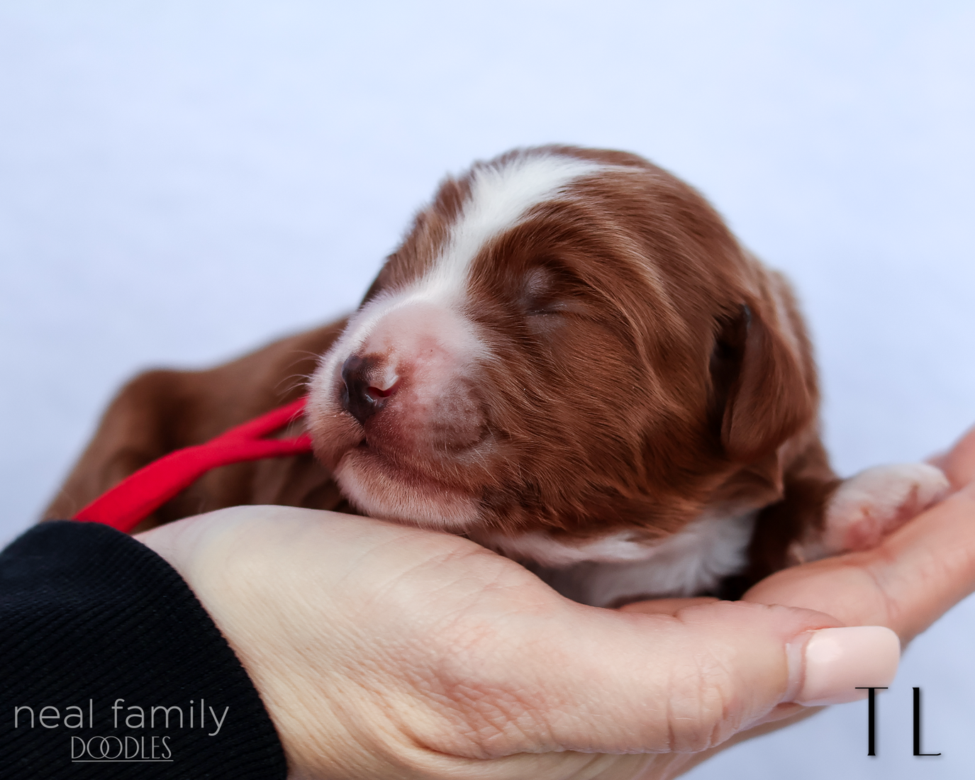 TL 20260202-IMG_9454