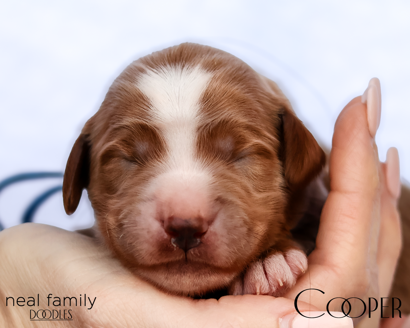 Cooper 20260202-IMG_9489