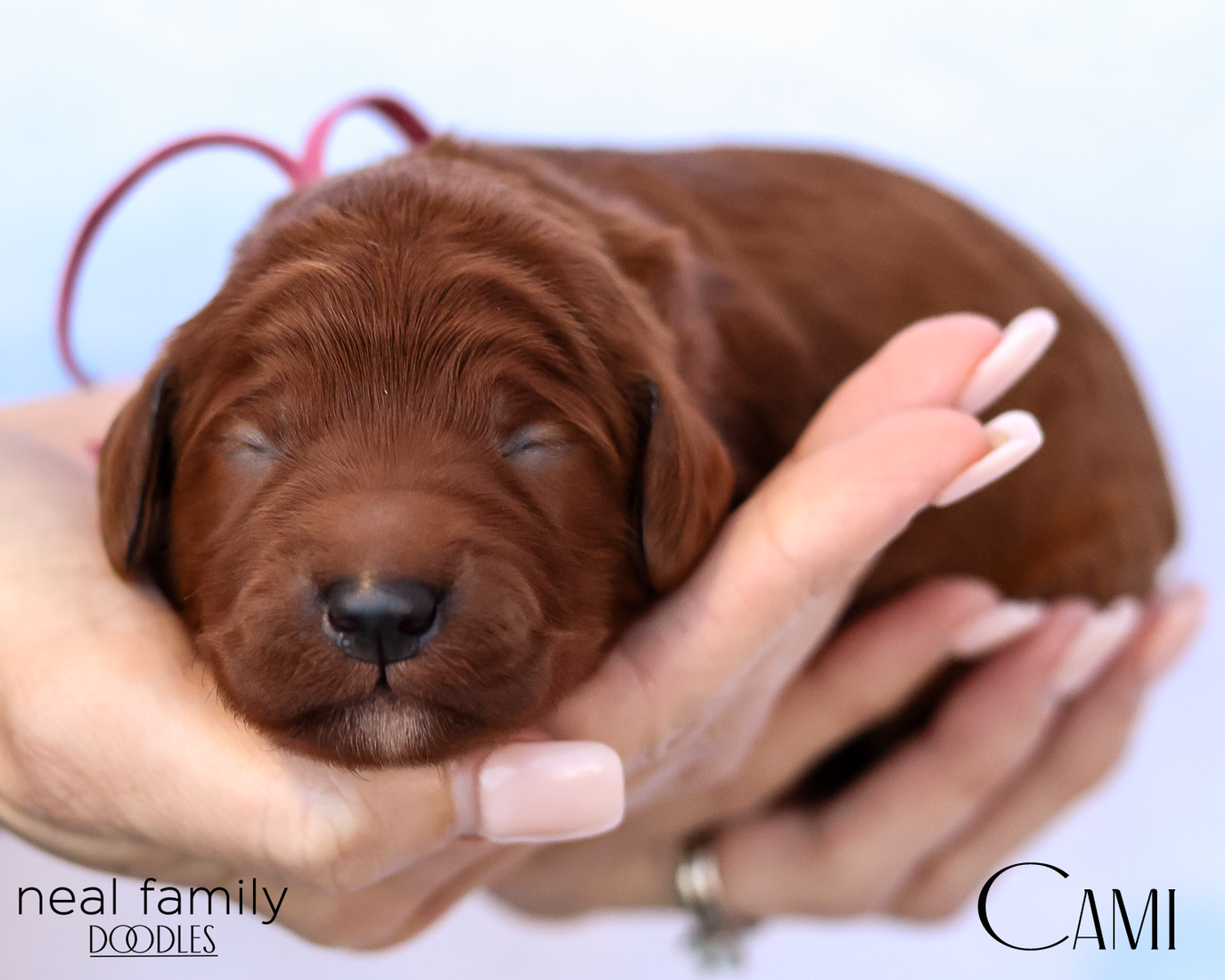 Cami  20260202-IMG_9560