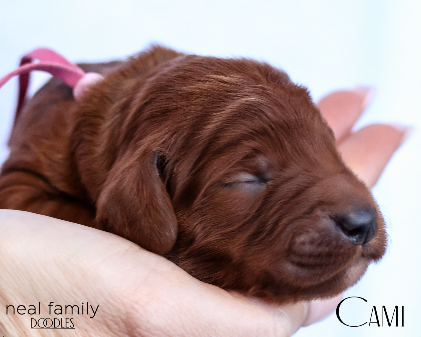 Cami  20260202-IMG_9564