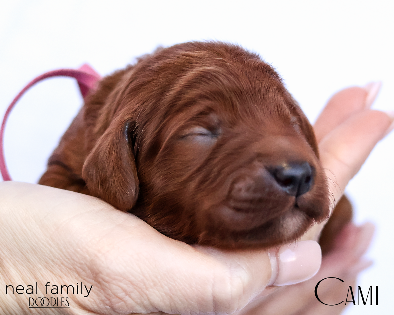 Cami  20260202-IMG_9555