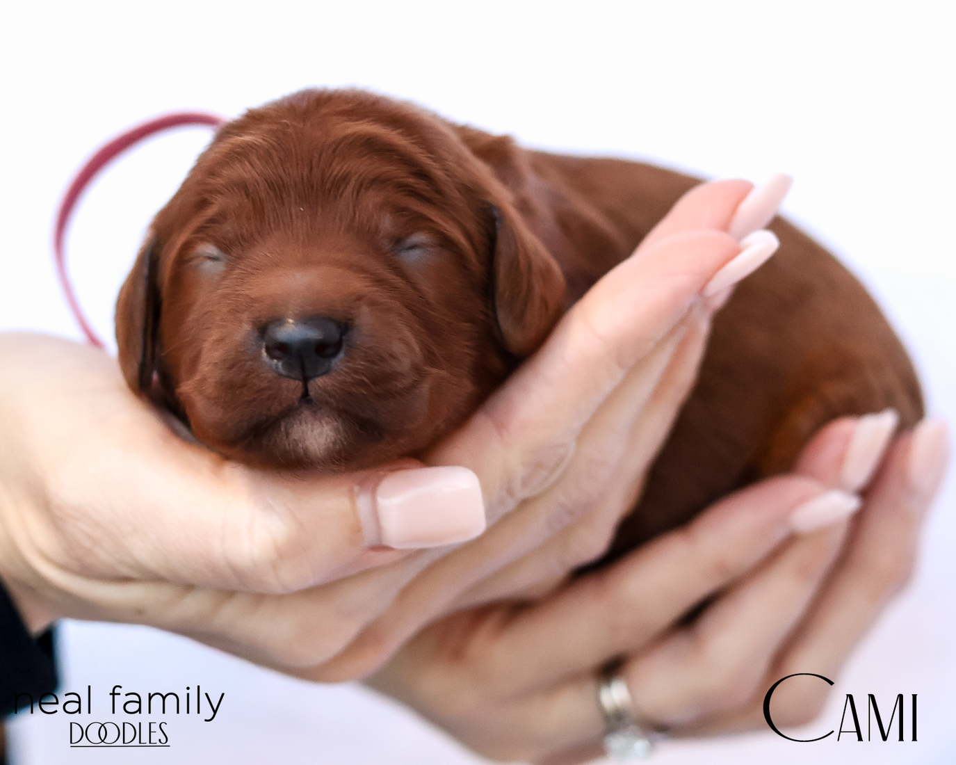 Cami  20260202-IMG_9553