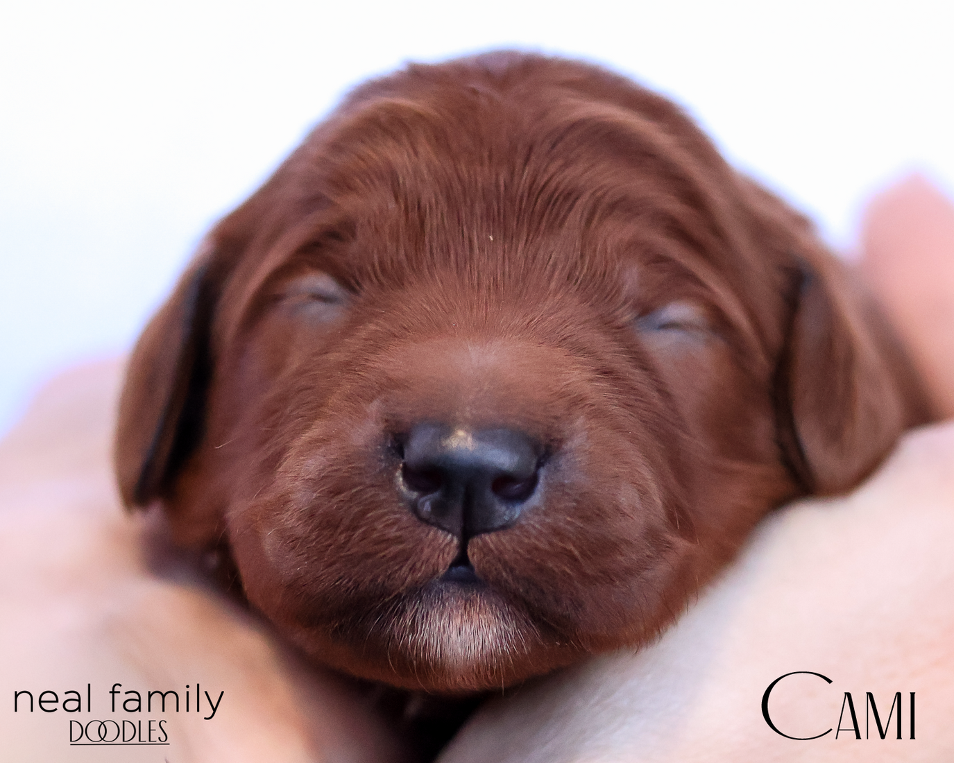 Cami  20260202-IMG_9571