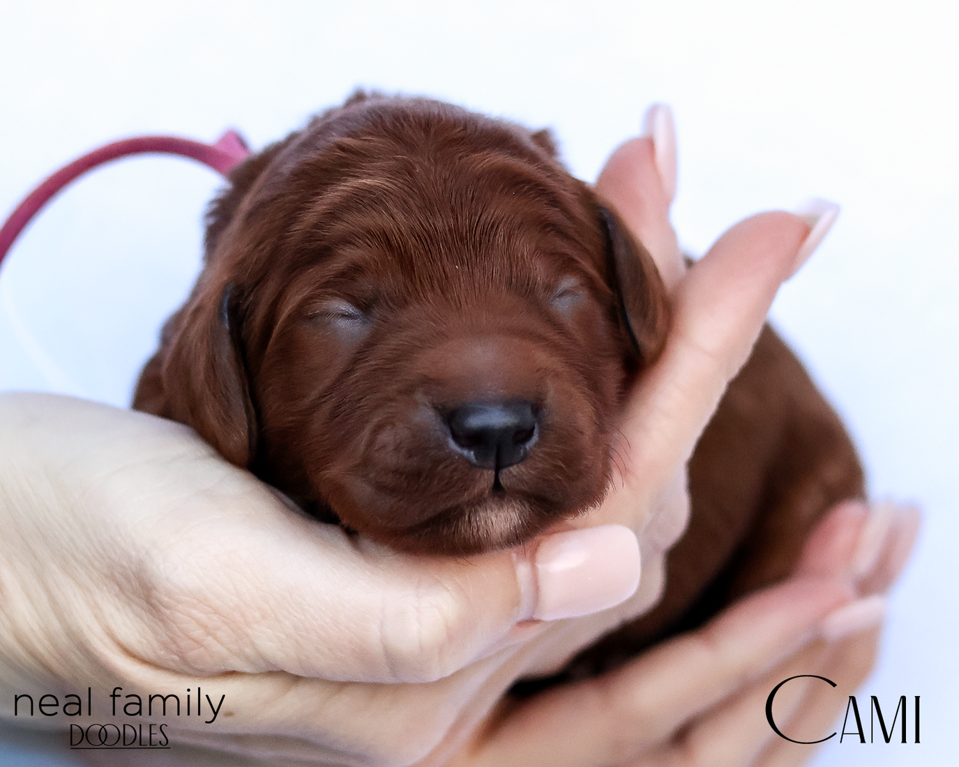 Cami  20260202-IMG_9550