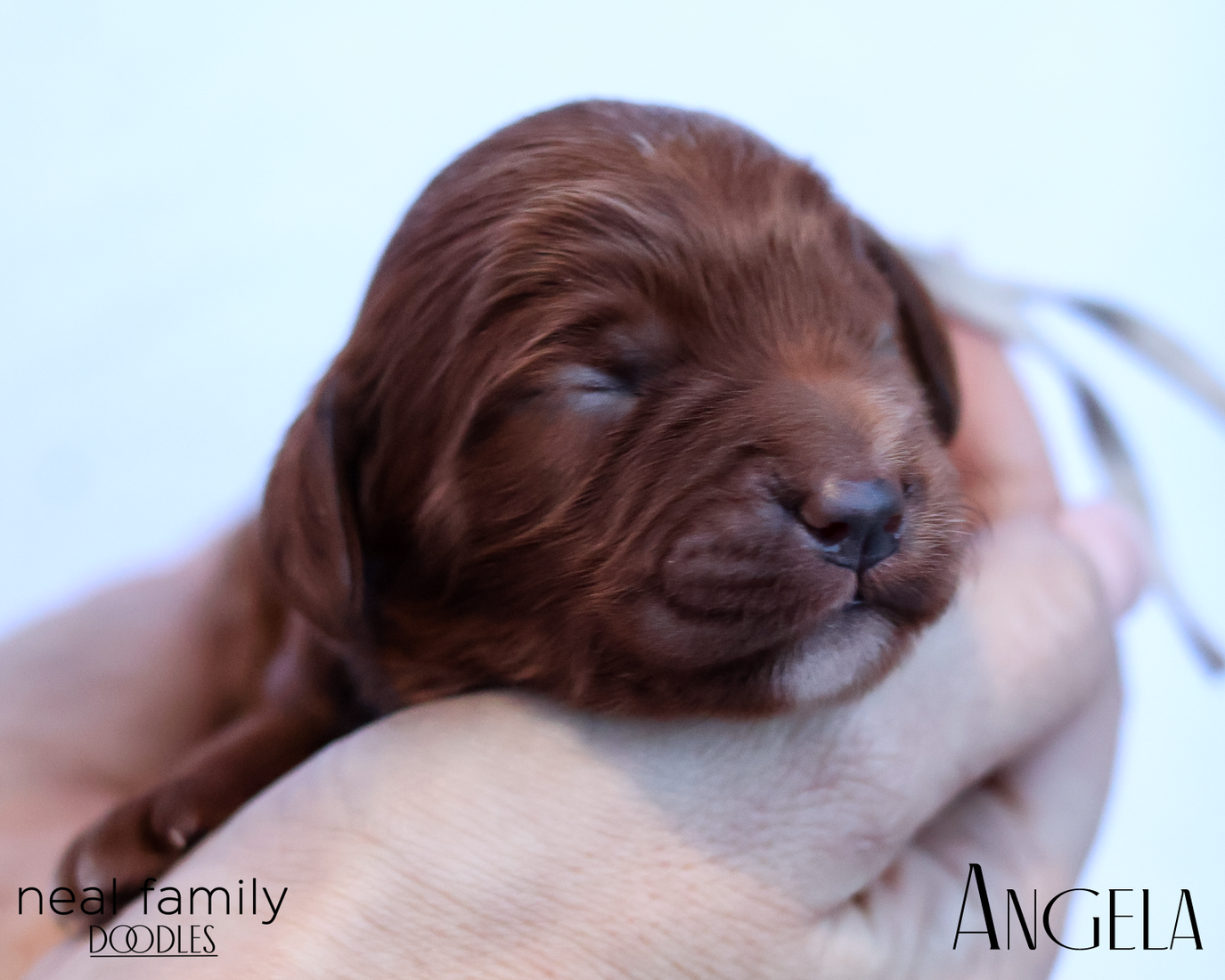 Angela 20260202-IMG_9598