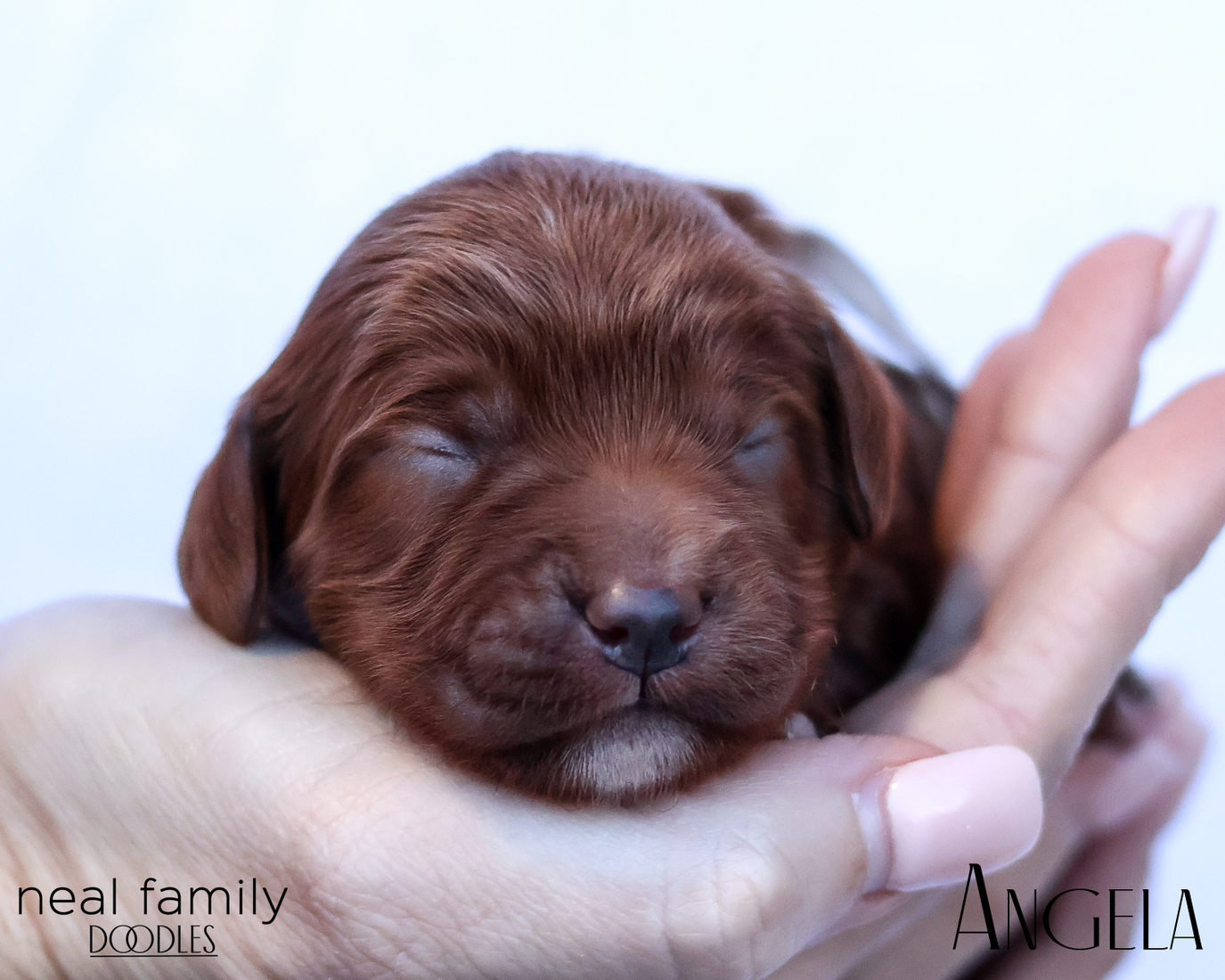 Angela 20260202-IMG_9581