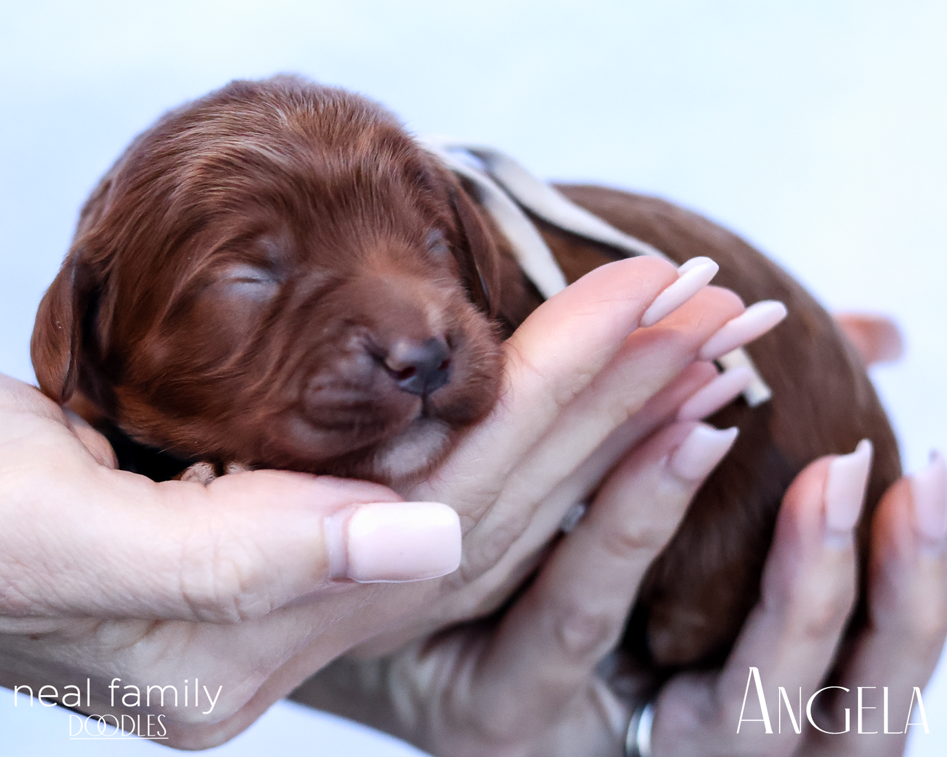 Angela 20260202-IMG_9585