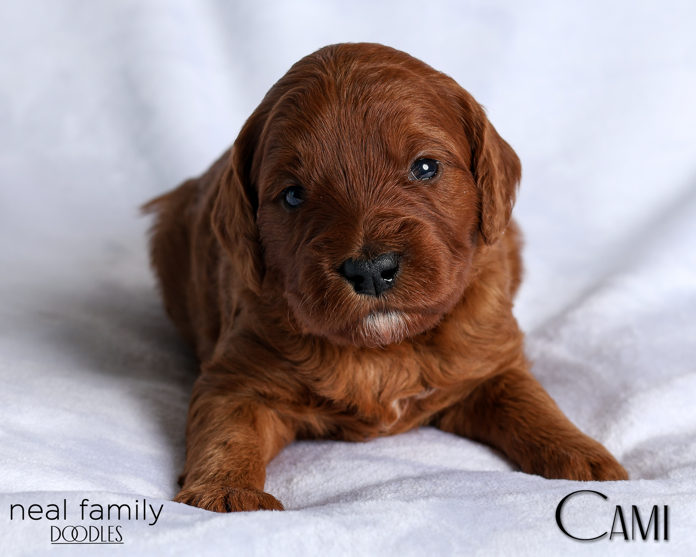 Cami Pink 20260216-IMG_0468