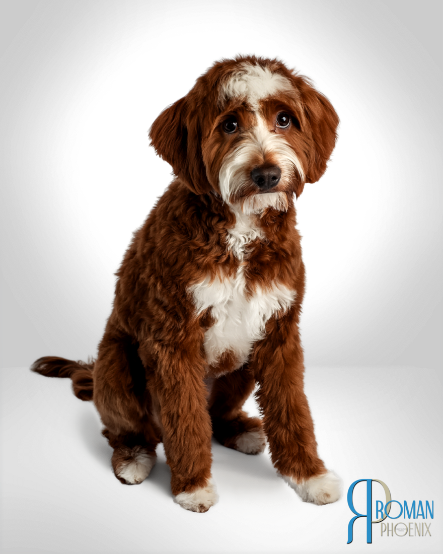 Roman 6 months 20260228-IMG_0952