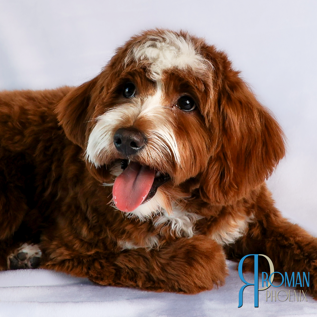 Roman 6 months 20260228-IMG_0954