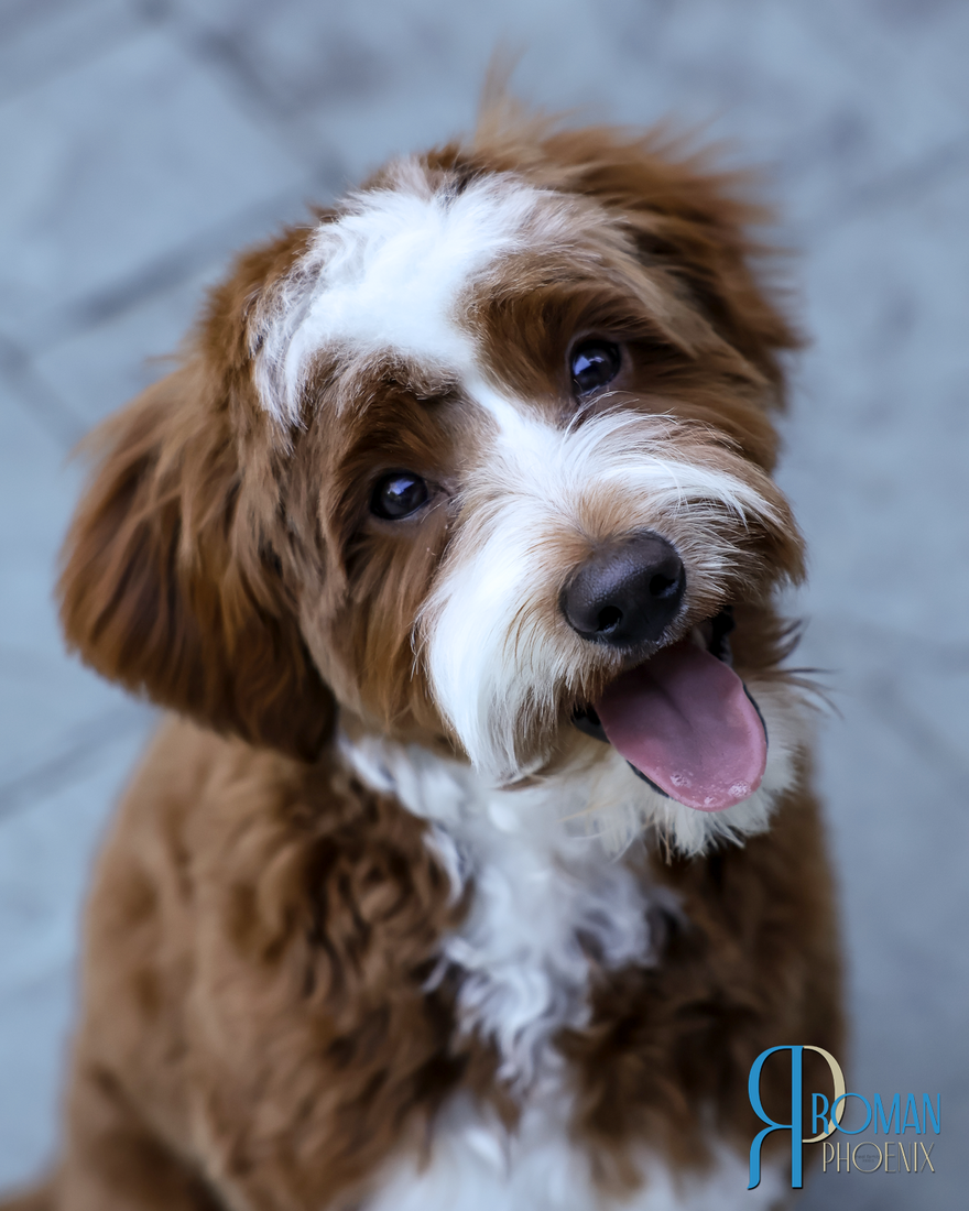 Roman 6 months 20260301-IMG_0995