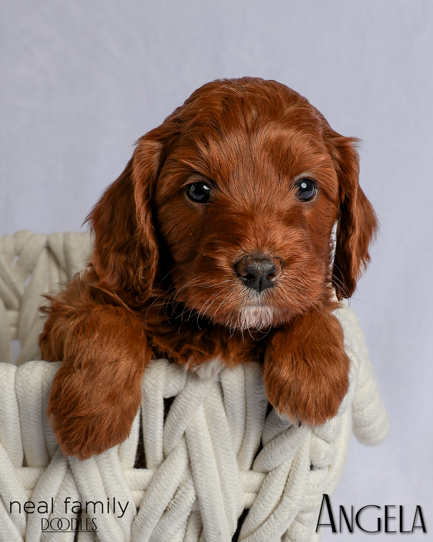 Angela 5 weeks 20260303-IMG_1143