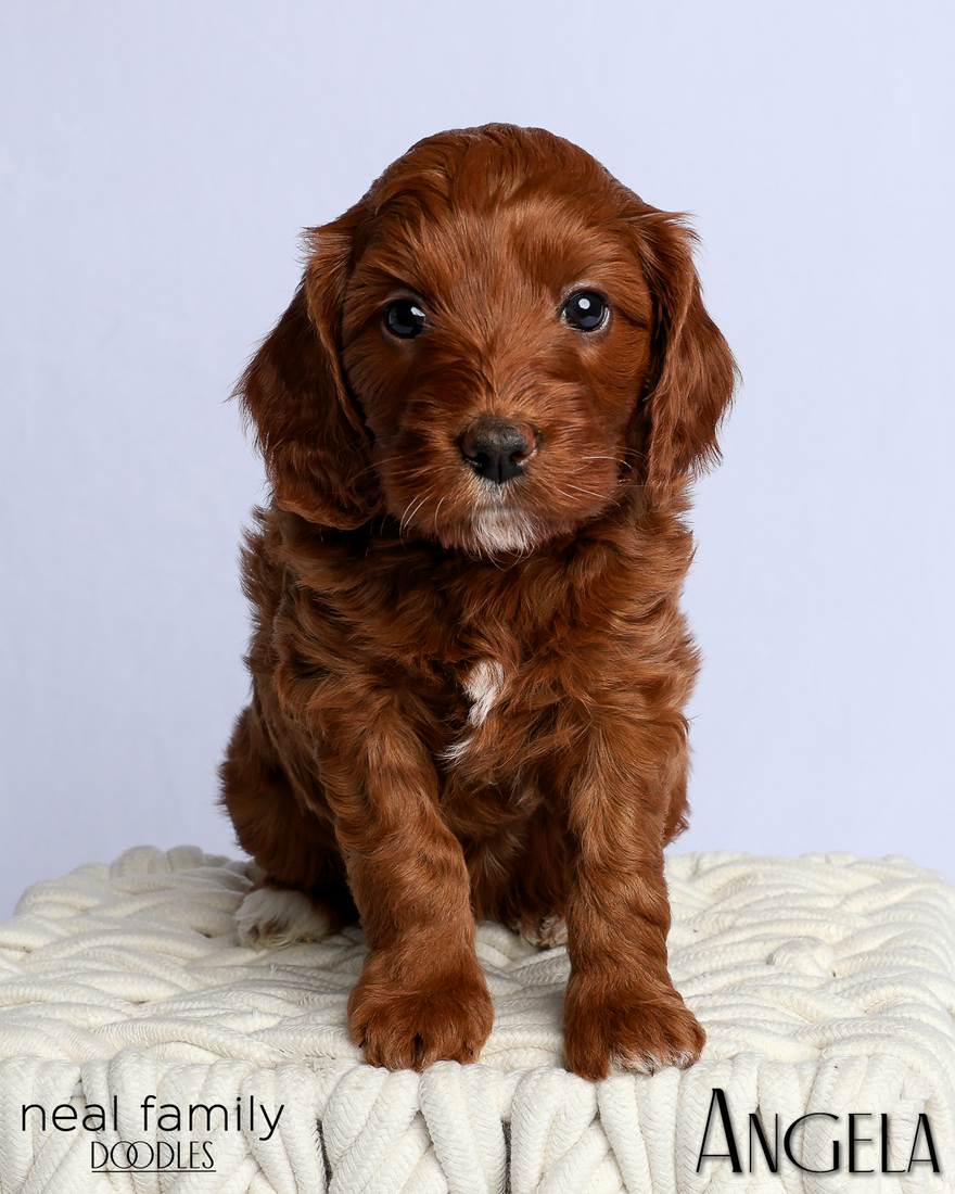 Angela 5 weeks 2 20260303-IMG_1285