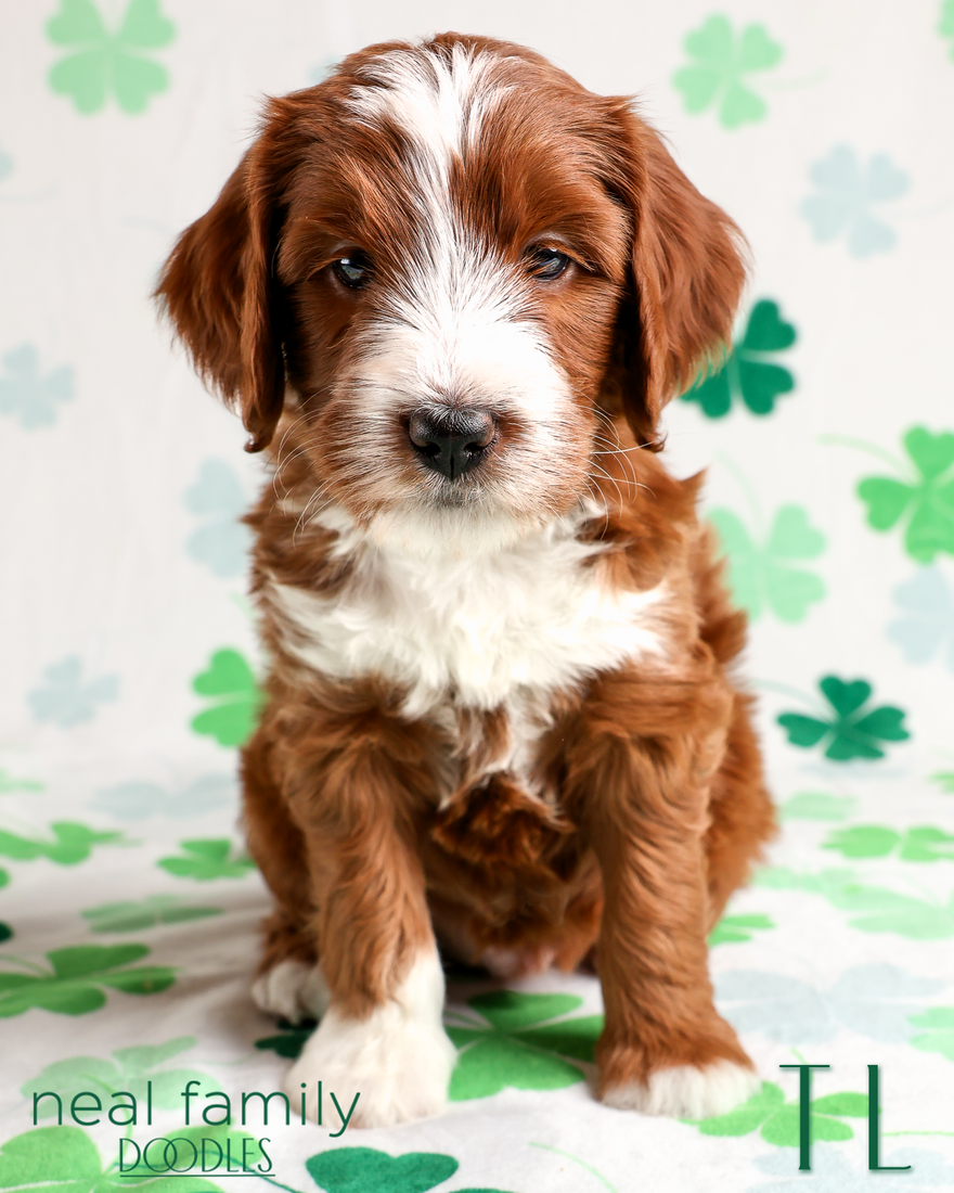 TL 6 weeks 20260306-IMG_1405