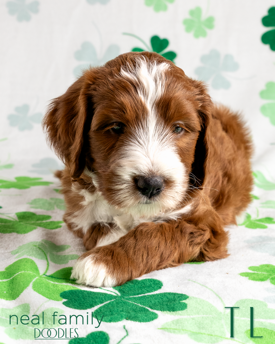 TL 6 weeks 20260309-IMG_1604