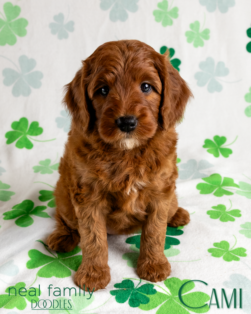 Cami 6 weeks 20260309-IMG_1538