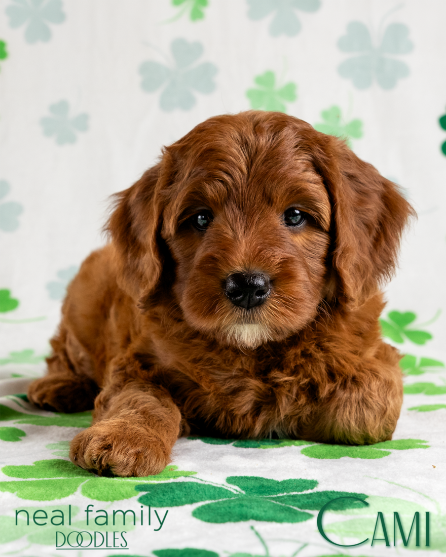 Cami 6 weeks 20260309-IMG_1548