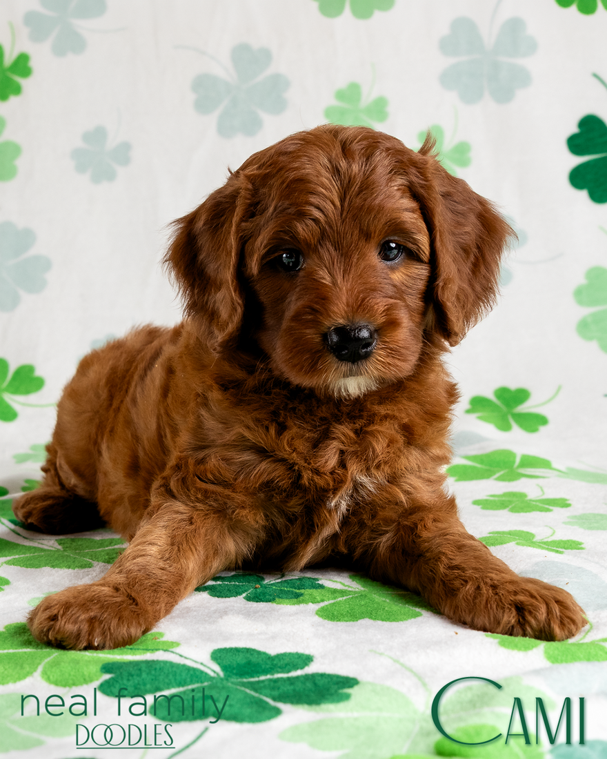 Cami 6 weeks 20260309-IMG_1553