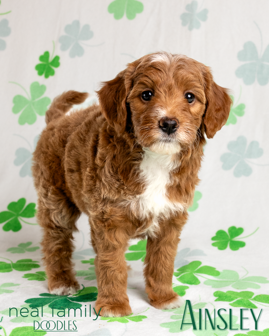 Ainsley 6 weeks 20260309-IMG_1598