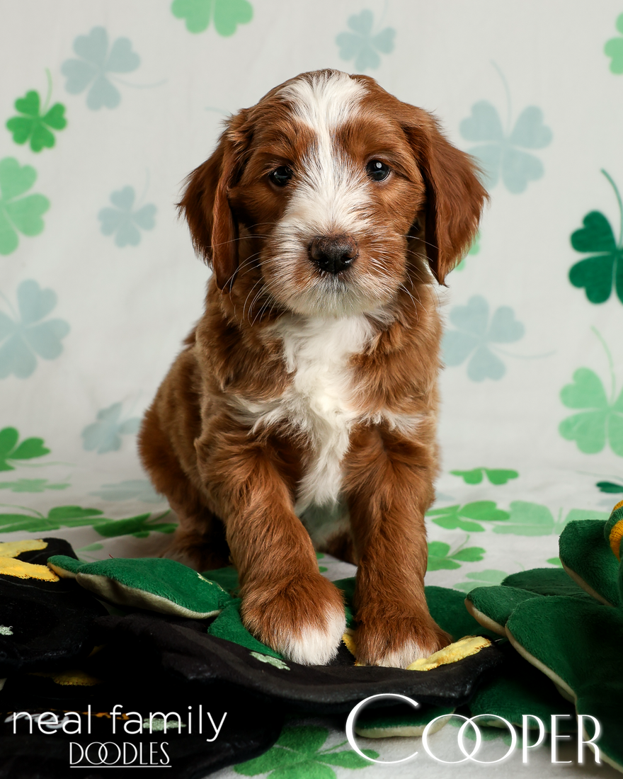 20260313-20260313-IMG_1783