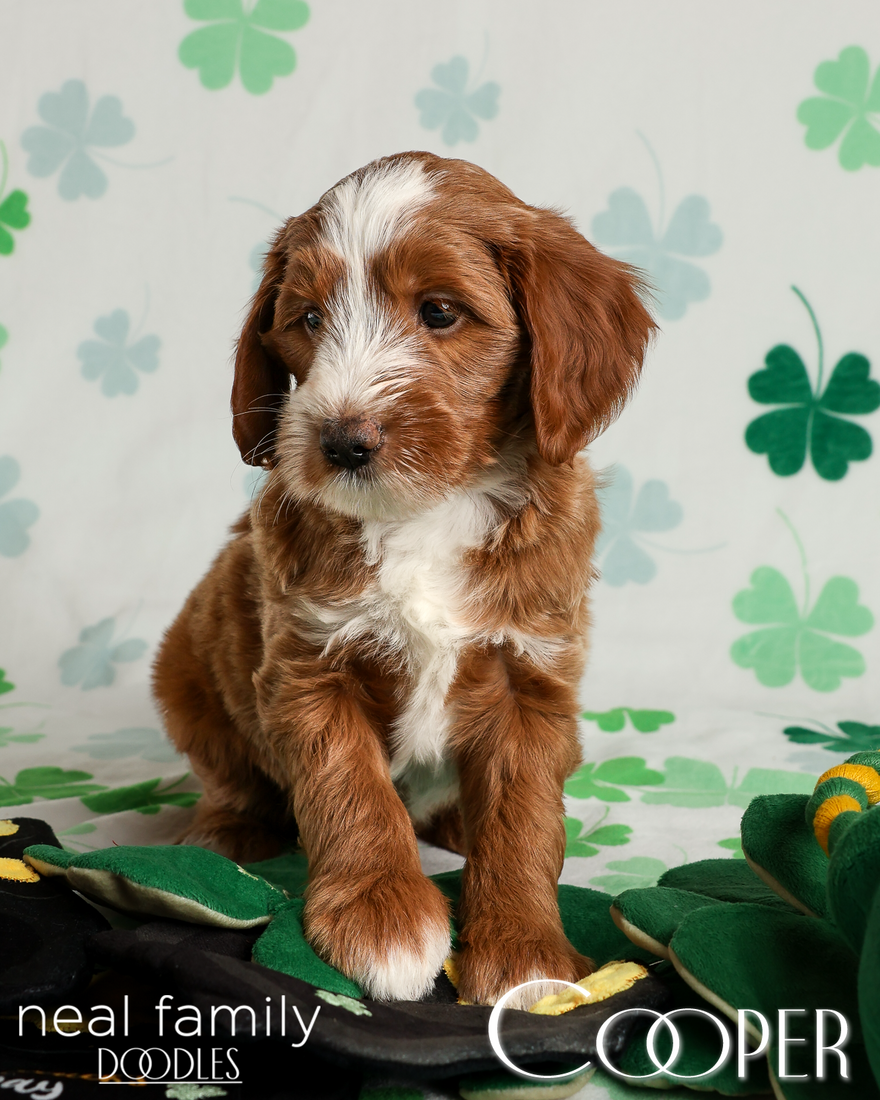 20260313-20260313-IMG_1784