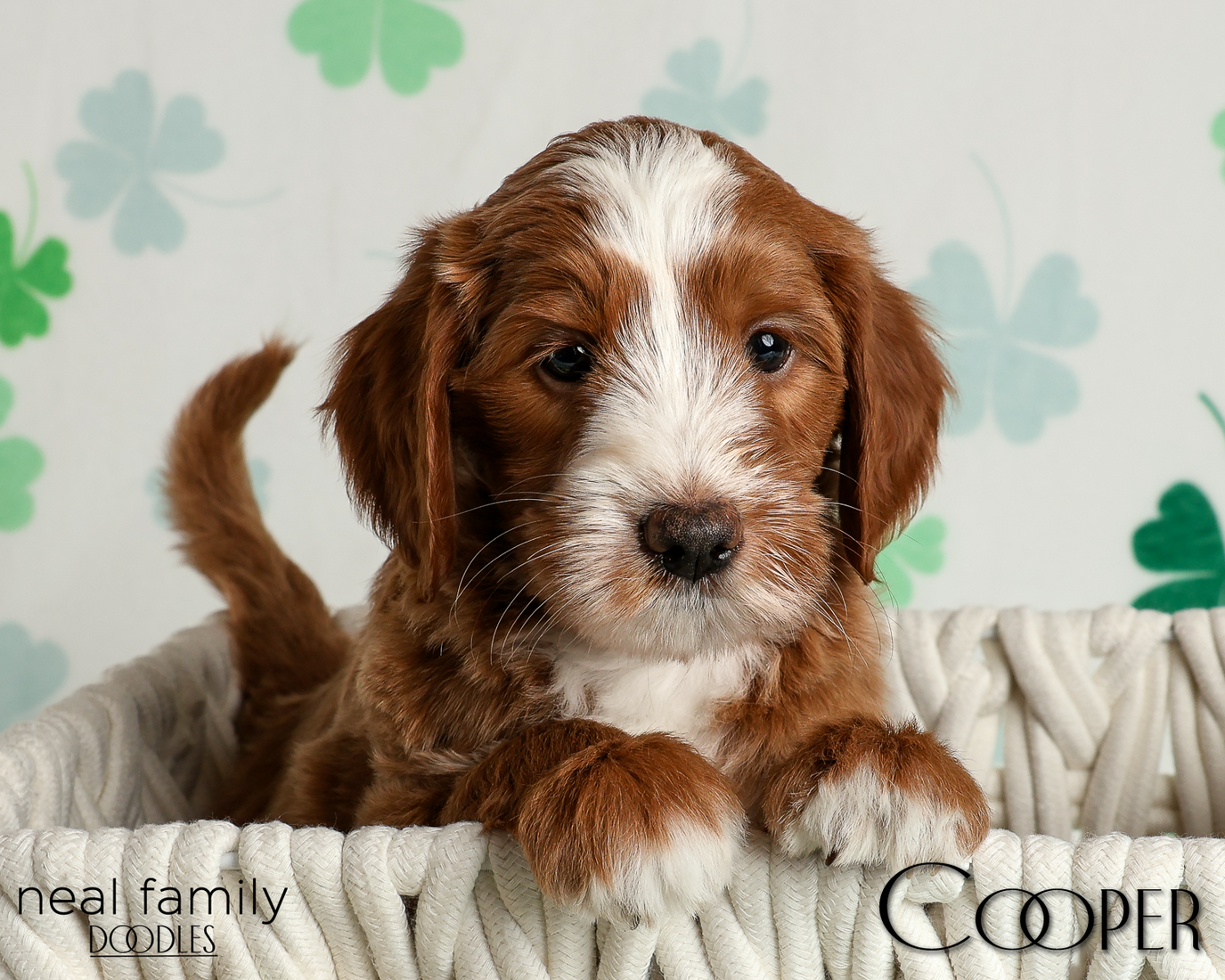 20260313-20260313-IMG_1775