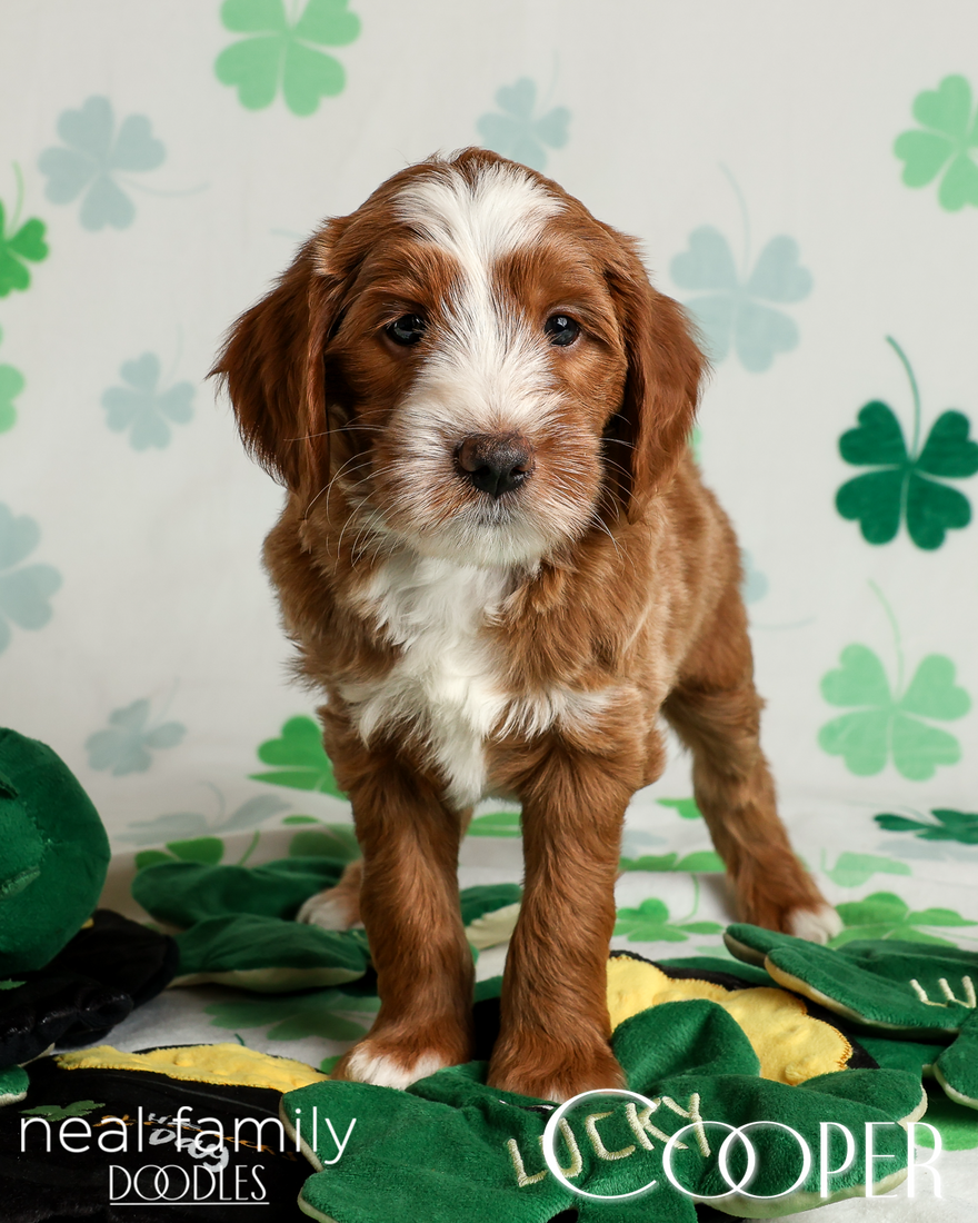 20260313-20260313-IMG_1799