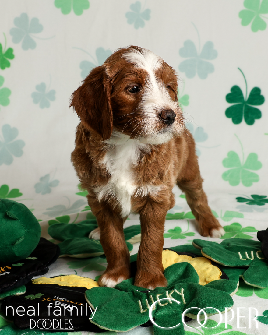 20260313-20260313-IMG_1800