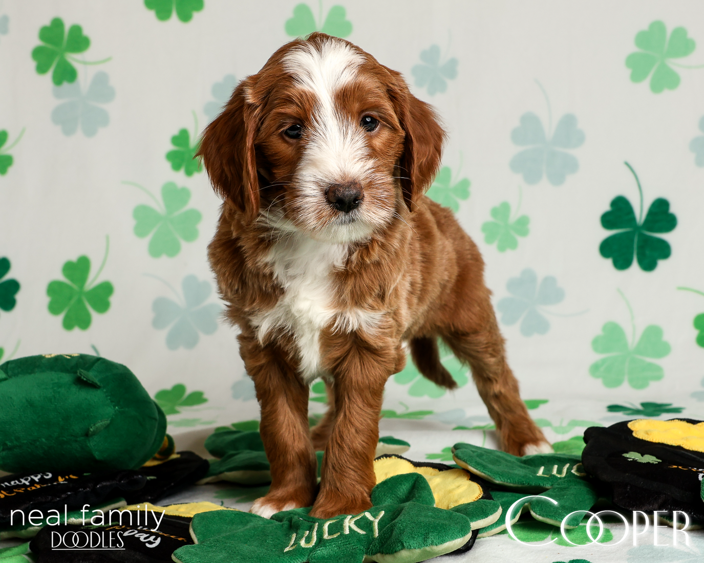 20260313-20260313-IMG_1808