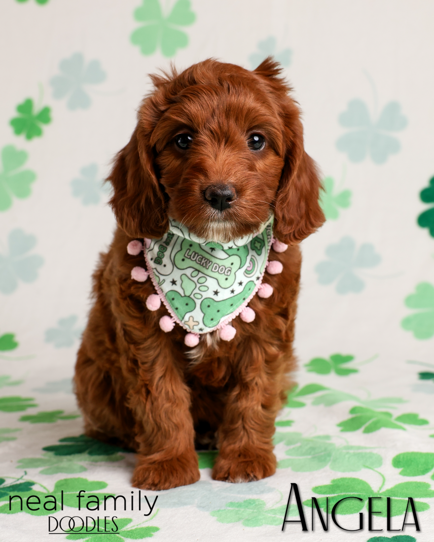 Angela 7 weeks 20260316-IMG_6248