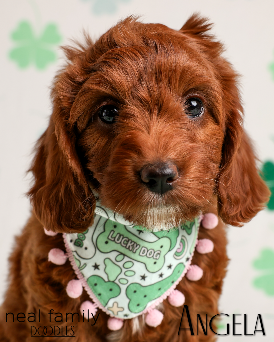 Angela 7 weeks 20260316-IMG_6272