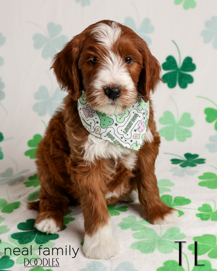 TL 7 weeks 20260316-IMG_6354