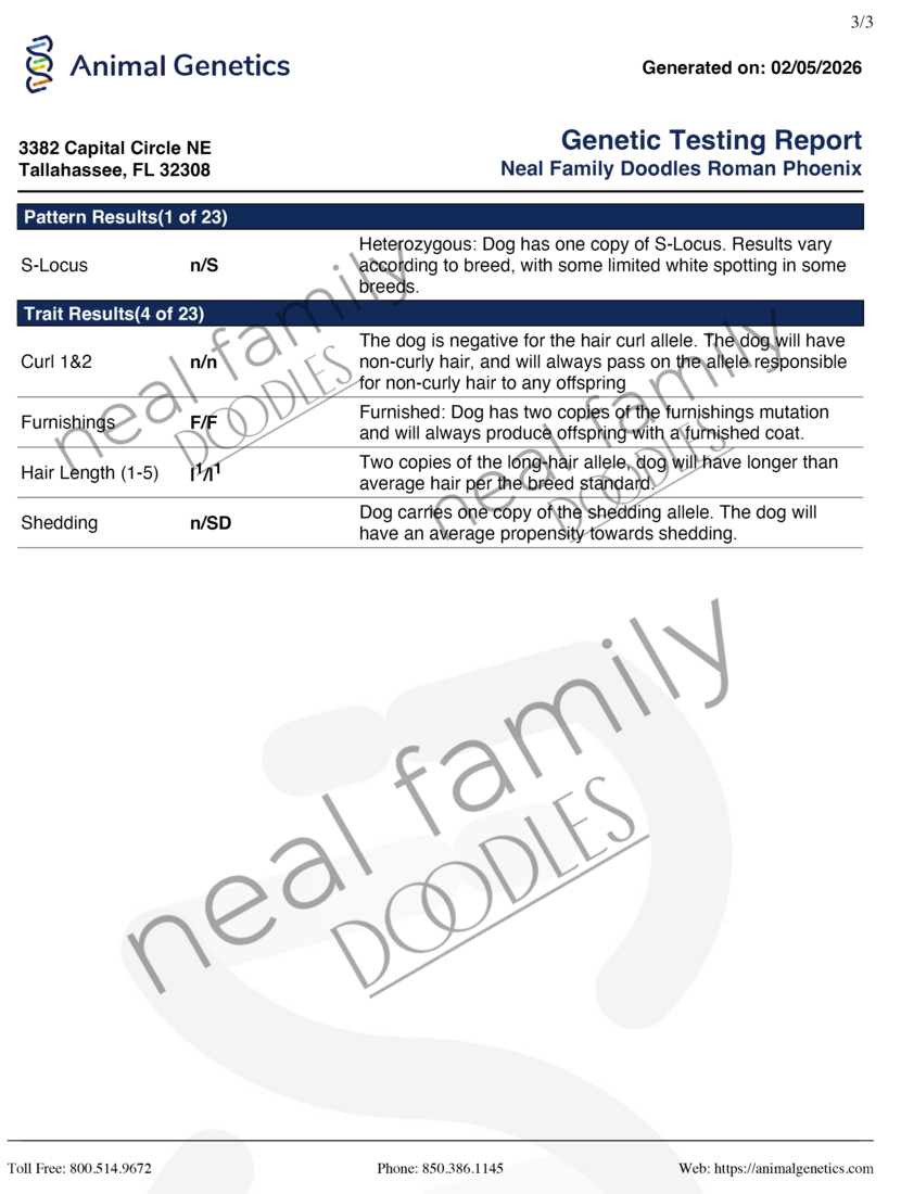 AG Roman Phoenix Page 2