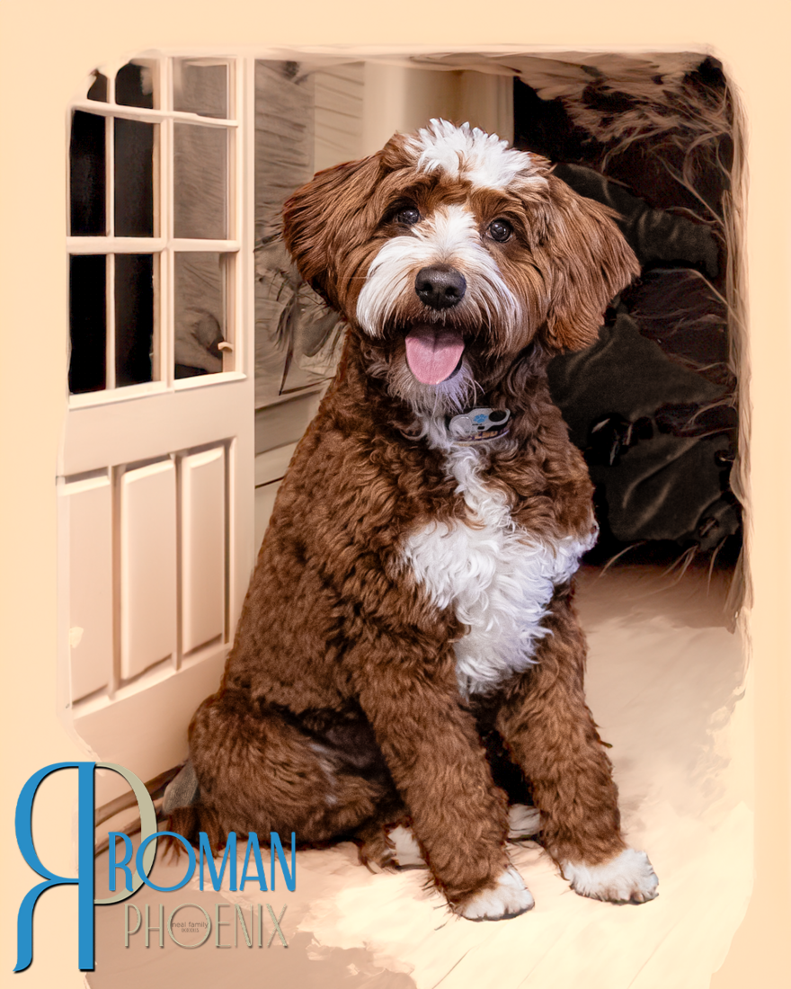 Roman - 8 months (4/24/2026)