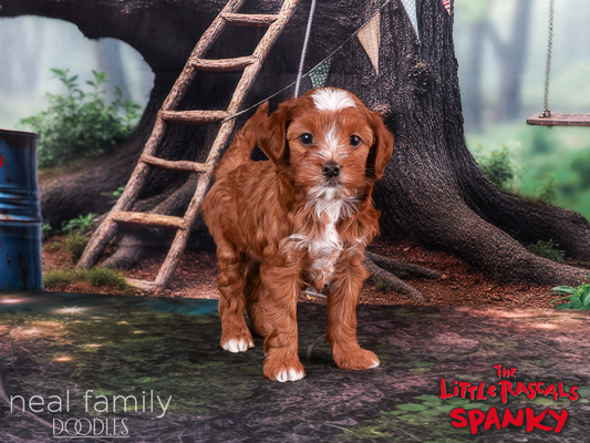 Spanky