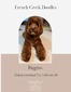 Riggins (French Creek Doodles Maverick Riggins)